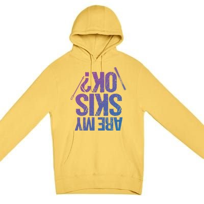 Are My Ski Ok? Skiing Snow Mountain Winter Great Gift Premium Pullover Hoodie