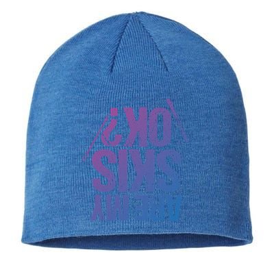 Are My Ski Ok? Skiing Snow Mountain Winter Great Gift Sustainable Beanie