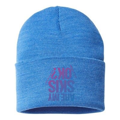 Are My Ski Ok? Skiing Snow Mountain Winter Great Gift Sustainable Knit Beanie