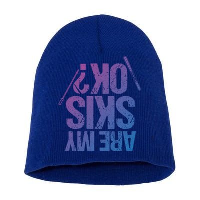 Are My Ski Ok? Skiing Snow Mountain Winter Great Gift Short Acrylic Beanie