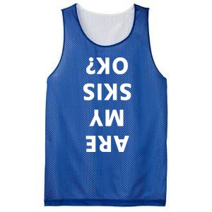 Are My Skis Okay Winter Funny Skiing Funny Gift Mesh Reversible Basketball Jersey Tank