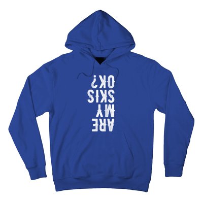 Are My Skis Ok Activity Sport Skiing Travel Funny Gift Hoodie