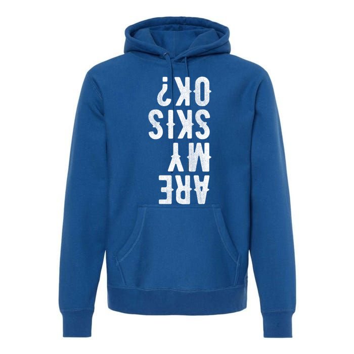 Are My Skis Ok Activity Sport Skiing Travel Funny Gift Premium Hoodie