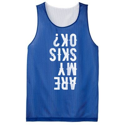 Are My Skis Ok Activity Sport Skiing Travel Funny Gift Mesh Reversible Basketball Jersey Tank