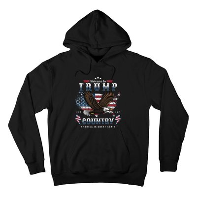 American Made Trump Merchandise Flag Trump 45 47 Trump 2025 Hoodie