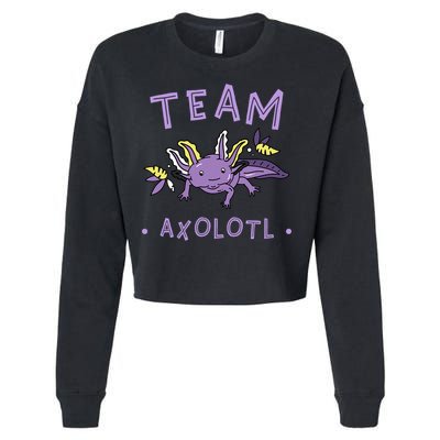 AXOLOTL Matching TEAM Shirts  TEAM AXOLOTL Cropped Pullover Crew