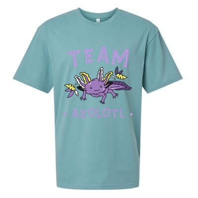 AXOLOTL Matching TEAM Shirts  TEAM AXOLOTL Sueded Cloud Jersey T-Shirt
