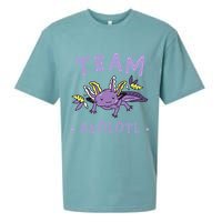 AXOLOTL Matching TEAM Shirts  TEAM AXOLOTL Sueded Cloud Jersey T-Shirt
