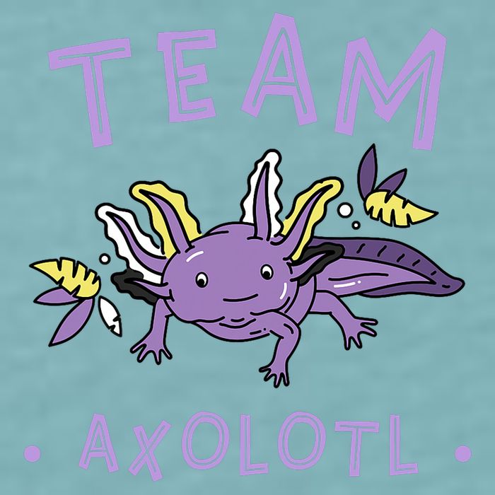 AXOLOTL Matching TEAM Shirts  TEAM AXOLOTL Sueded Cloud Jersey T-Shirt