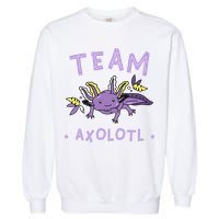 AXOLOTL Matching TEAM Shirts  TEAM AXOLOTL Garment-Dyed Sweatshirt