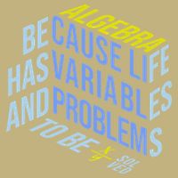 Algebra Math Teacher Life Has Variables And Problems T-Shirt
