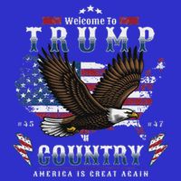 American Made Trump Merchandise Flag Trump 45 47 Women's V-Neck T-Shirt