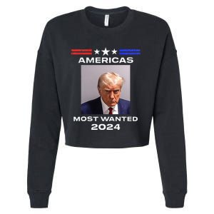 Americas Most Wanted Trump 2024 Cropped Pullover Crew