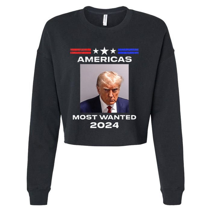 Americas Most Wanted Trump 2024 Cropped Pullover Crew