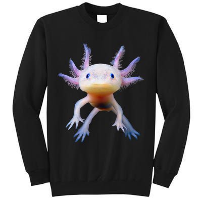 Axolotl Mexican Walking Fish Cute Amphibian Axolotl Tall Sweatshirt