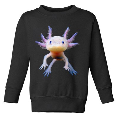 Axolotl Mexican Walking Fish Cute Amphibian Axolotl Toddler Sweatshirt