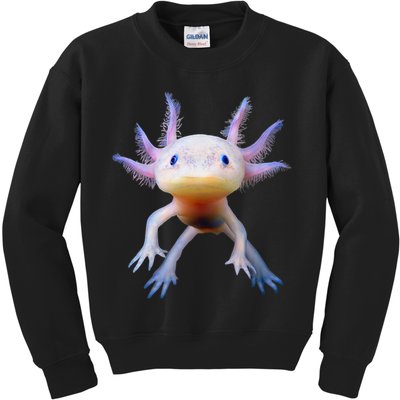 Axolotl Mexican Walking Fish Cute Amphibian Axolotl Kids Sweatshirt