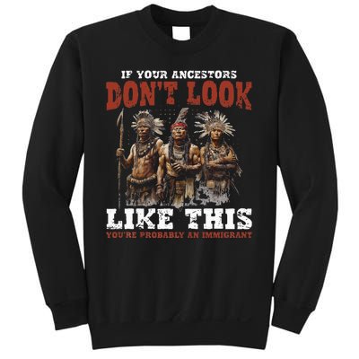 Ancestors Native American Native Tribes Pride Indigenous Sweatshirt