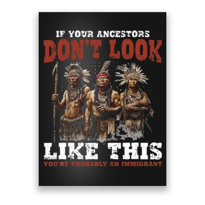 Ancestors Native American Native Tribes Pride Indigenous Poster