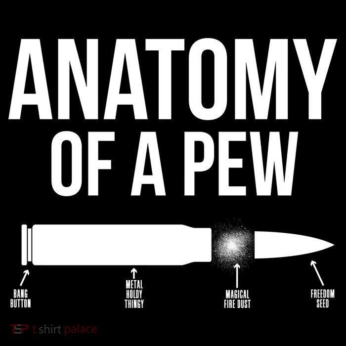 Anatomy Of A Pew Funny Bullet Pro Guns Stripe Pom Pom Beanie