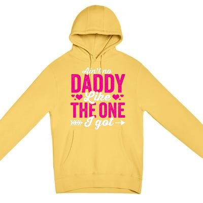 Aint No Daddy Like The One I Got Dad Fathers Day Gift Premium Pullover Hoodie