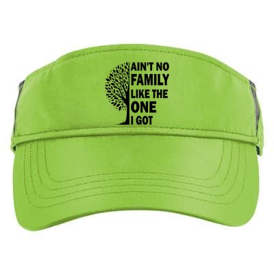 AinT No Family Like The One I Got Family Reunion And Great Gift Adult Drive Performance Visor