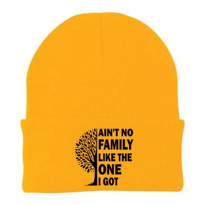 AinT No Family Like The One I Got Family Reunion And Great Gift Knit Cap Winter Beanie