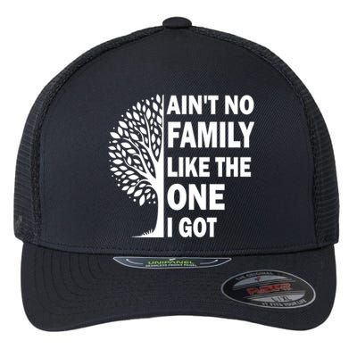 AinT No Family Like The One I Got Family Reunion And Great Gift Flexfit Unipanel Trucker Cap