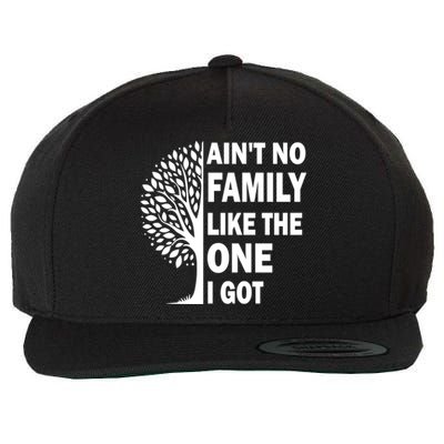 AinT No Family Like The One I Got Family Reunion And Great Gift Wool Snapback Cap