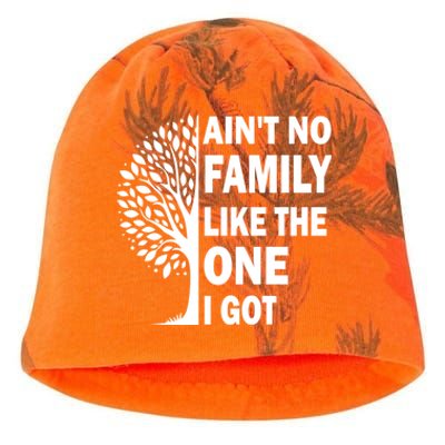 AinT No Family Like The One I Got Family Reunion And Great Gift Kati - Camo Knit Beanie