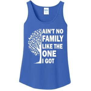 AinT No Family Like The One I Got Family Reunion And Great Gift Ladies Essential Tank