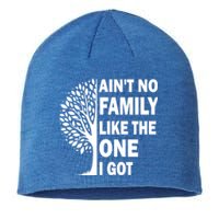 AinT No Family Like The One I Got Family Reunion And Great Gift Sustainable Beanie