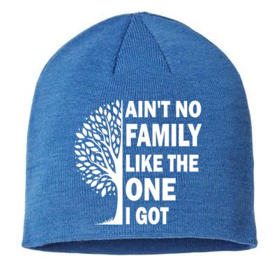 AinT No Family Like The One I Got Family Reunion And Great Gift Sustainable Beanie