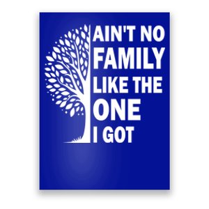 AinT No Family Like The One I Got Family Reunion And Great Gift Poster