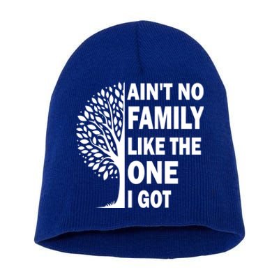 AinT No Family Like The One I Got Family Reunion And Great Gift Short Acrylic Beanie