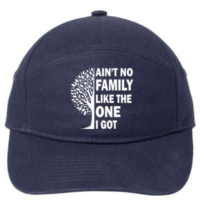 AinT No Family Like The One I Got Family Reunion And Great Gift 7-Panel Snapback Hat