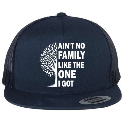 AinT No Family Like The One I Got Family Reunion And Great Gift Flat Bill Trucker Hat