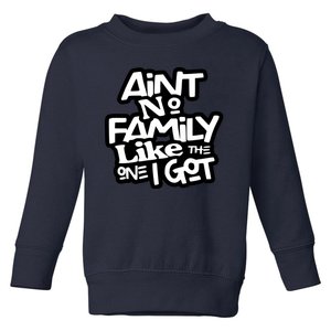 Aint No Family Like The One I Got For Family Toddler Sweatshirt