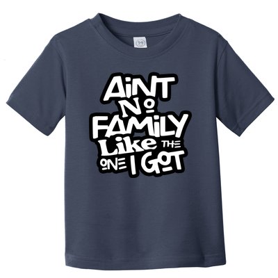 Aint No Family Like The One I Got For Family Toddler T-Shirt