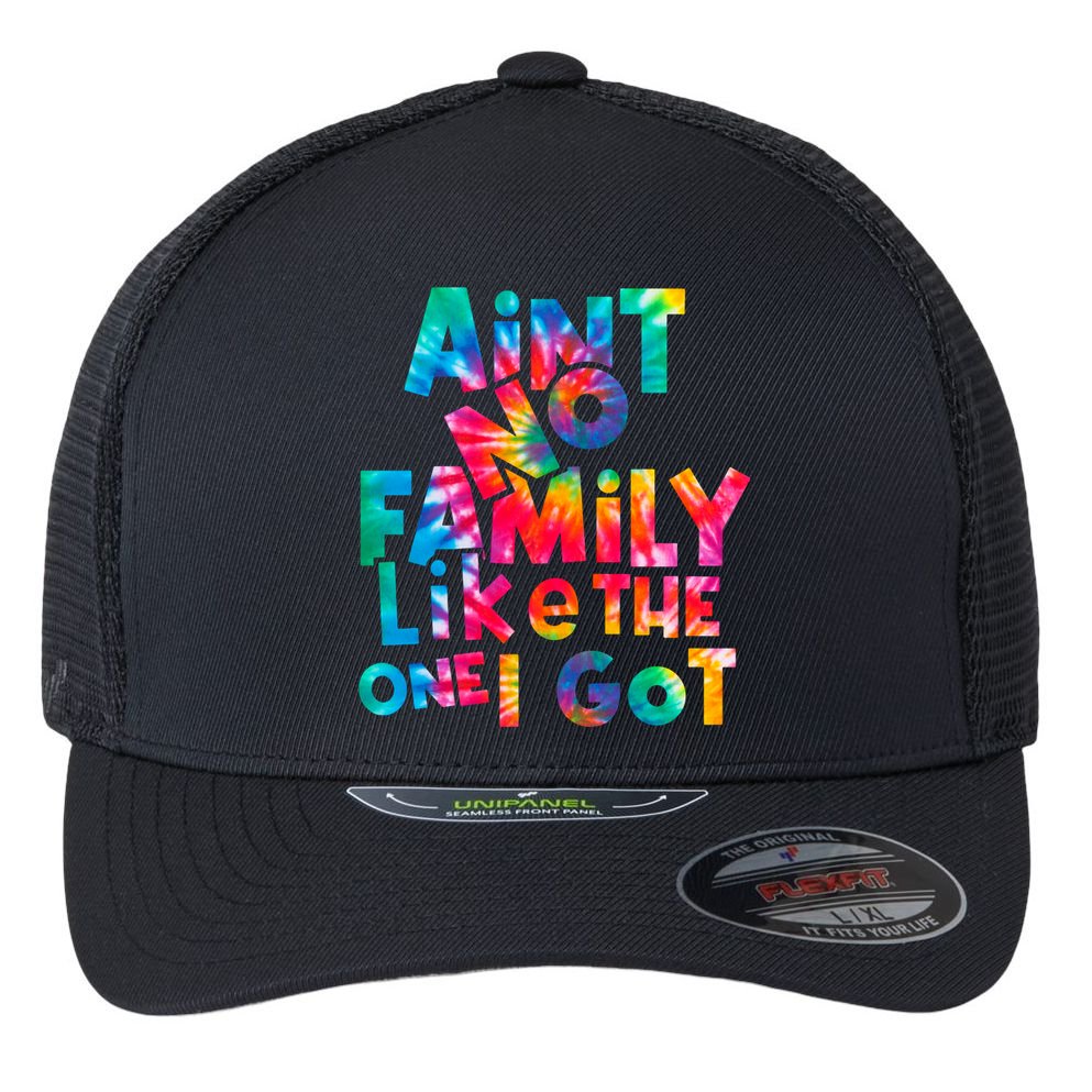 Aint No Family Like The One I Got For Family Tie Dye Flexfit Unipanel Trucker Cap