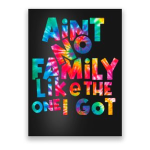 Aint No Family Like The One I Got For Family Tie Dye Poster