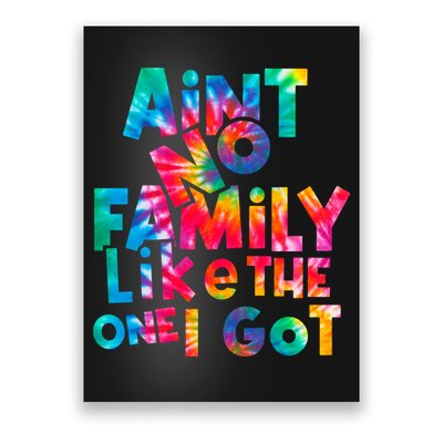 Aint No Family Like The One I Got For Family Tie Dye Poster