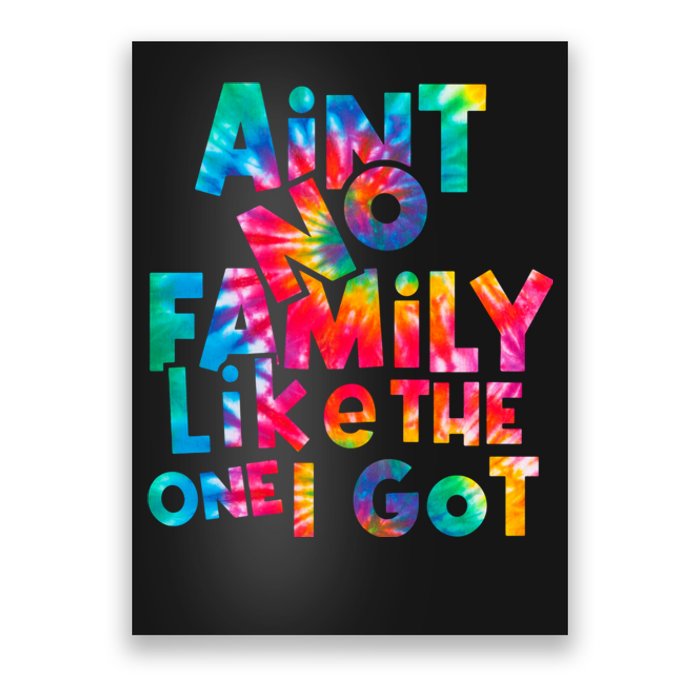 Aint No Family Like The One I Got For Family Tie Dye Poster