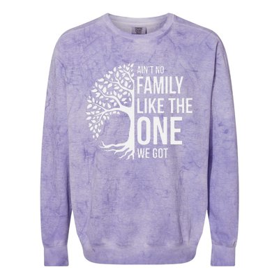 Ain't No Family Like the One We Got, Family tree Colorblast Crewneck Sweatshirt