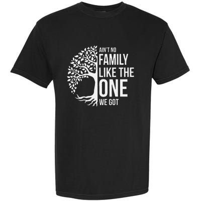 Ain't No Family Like the One We Got, Family tree Garment-Dyed Heavyweight T-Shirt