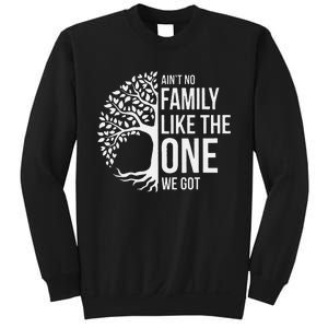 Ain't No Family Like the One We Got, Family tree Sweatshirt