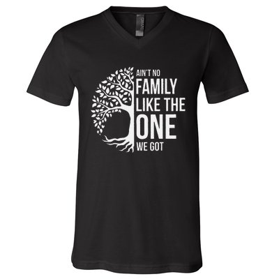 Ain't No Family Like the One We Got, Family tree V-Neck T-Shirt