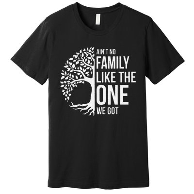 Ain't No Family Like the One We Got, Family tree Premium T-Shirt