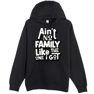 AinT No Family Like The One I Got For Family Premium Pullover Hoodie