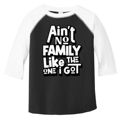 AinT No Family Like The One I Got For Family Toddler Fine Jersey T-Shirt